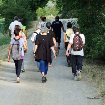 progetto-indis-gallery-27